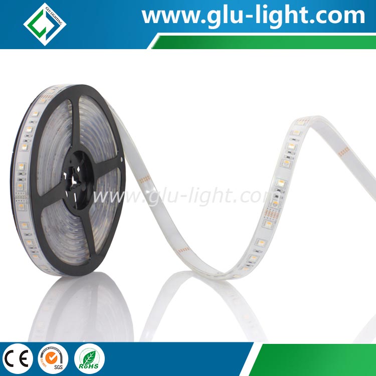 Alibaba com IP68 tough solid silicone RGBW 4 in 1 5050 led strip tape 5050-RGBW-60-IP68-1.jpg