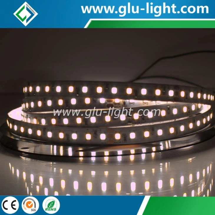 China factory 10mm 4 OZ CRI 97 2835 flex led ribbon McAdams SDCM ≤3 